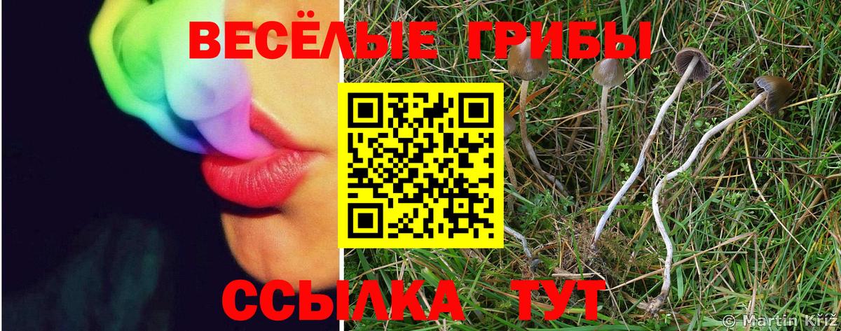 Искитим  Галлюциногенные грибы Cubensis  Галлюциногенные грибы ЛСД  наркота  Вход с VPN 
